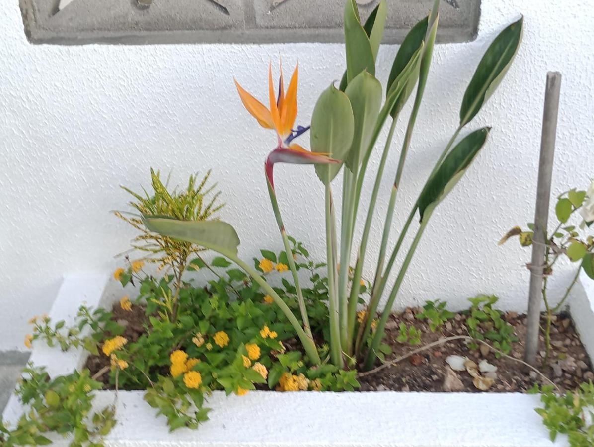 Chales Recanto Das Flores Rn 蒙蒂达斯加梅莱拉斯 外观 照片